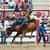 Cowboy on bucking bronco at Cheyenne Frontier Days in Wyoming.