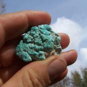 Raw turquoise from Nevada