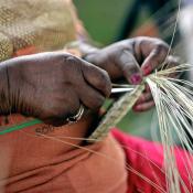 Making a sweetgrass basket